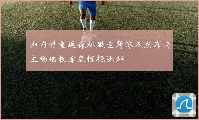 加内特重返森林狼全新球衣发布与主场地板涂装惊艳亮相